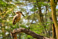 pexels-perventuator-8341091-scaled